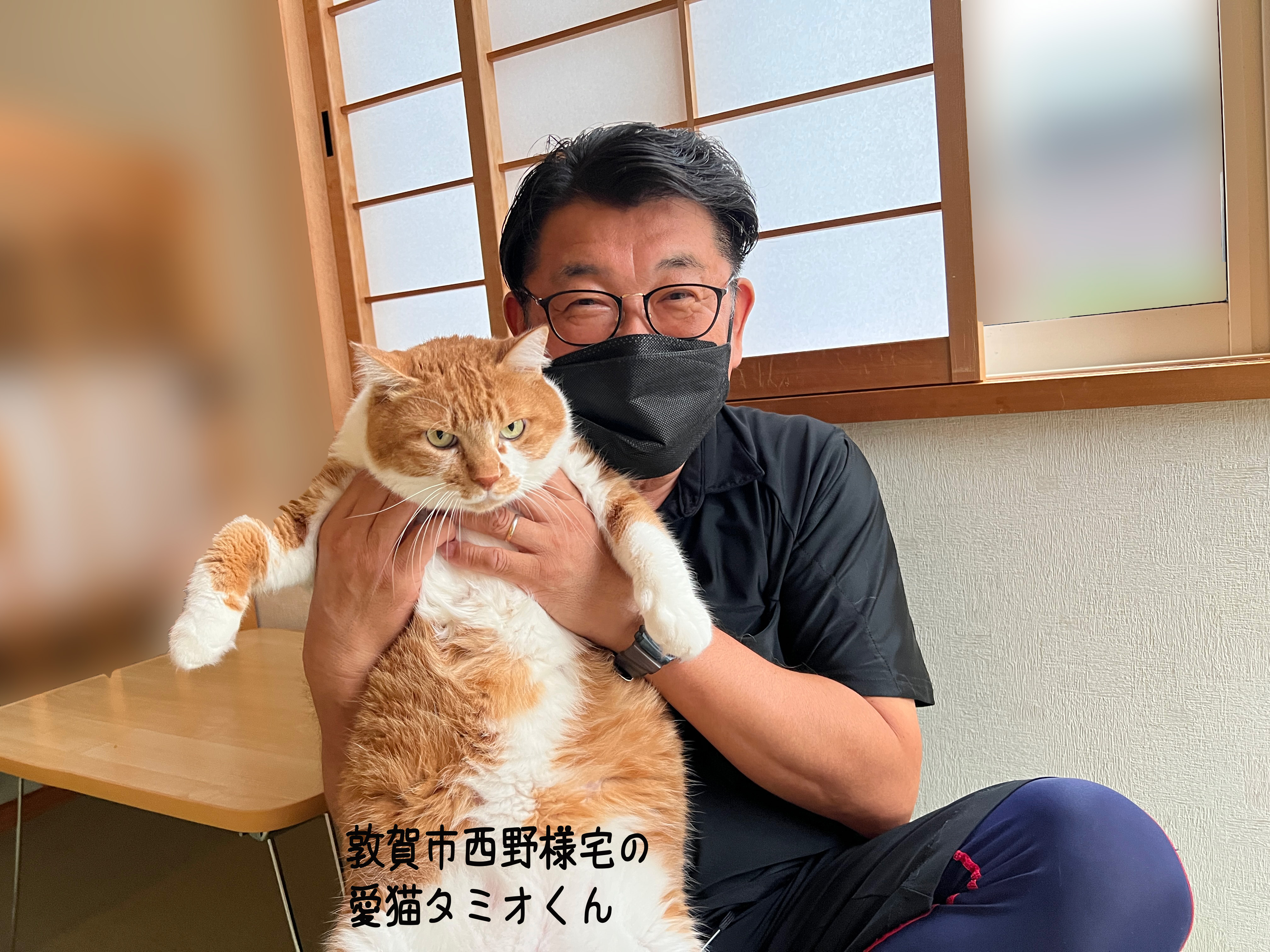 ダウンロード